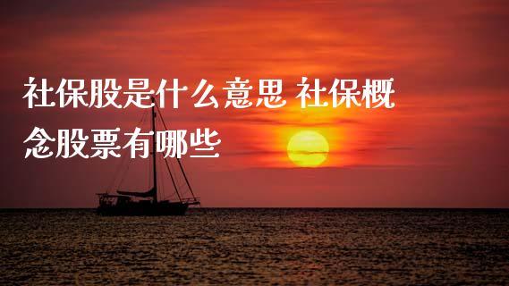 社保股是什么意思 社保概念股票有哪些