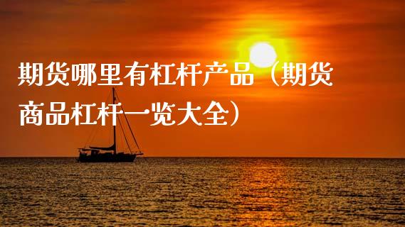 期货哪里有杠杆产品（期货商品杠杆一览大全）