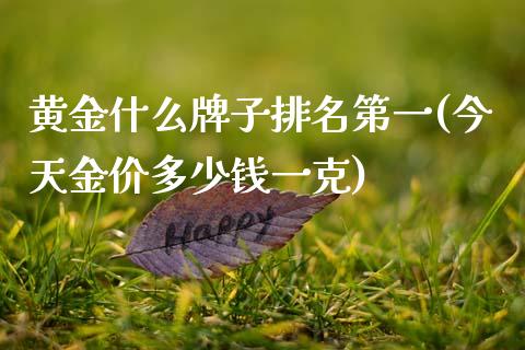 黄金什么牌子排名第一(今天金价多少钱一克)