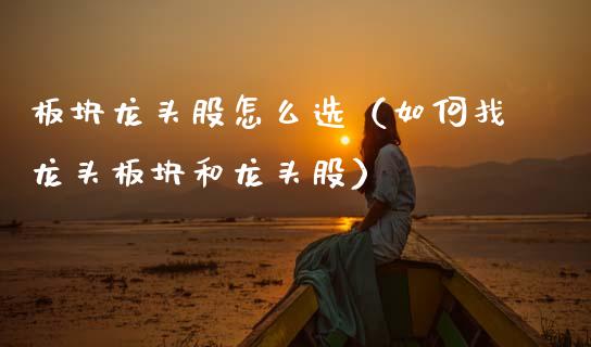 板块龙头股怎么选（如何找龙头板块和龙头股）