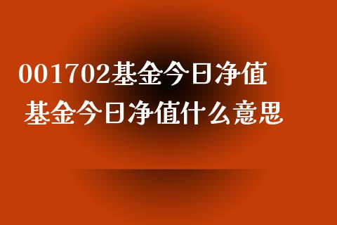 001702基金今日净值 基金今日净值什么意思