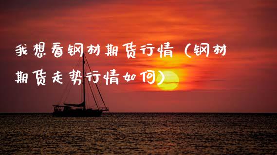 我想看钢材期货行情（钢材期货走势行情如何）