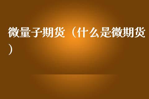 微量子期货（什么是微期货）