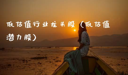 低估值行业龙头股（低估值潜力股）
