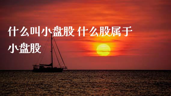 什么叫小盘股 什么股属于小盘股