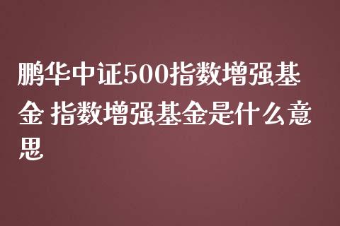 鹏华中证500指数增强基金 指数增强基金是什么意思