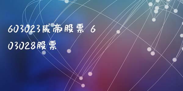 603023威帝股票 603028股票