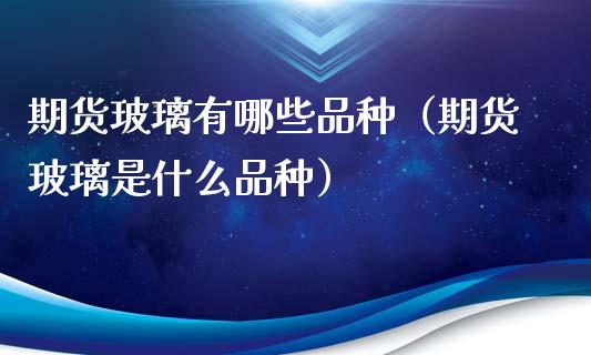 期货玻璃有哪些品种（期货玻璃是什么品种）