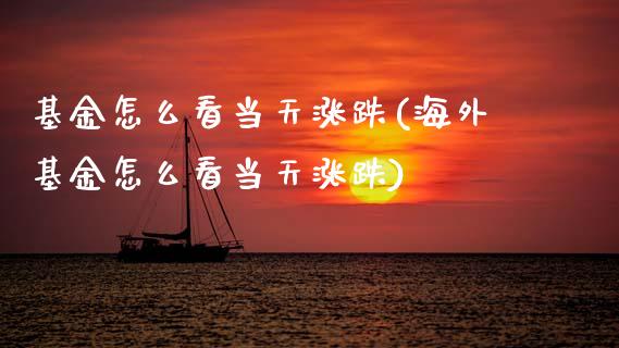 基金怎么看当天涨跌(海外基金怎么看当天涨跌)
