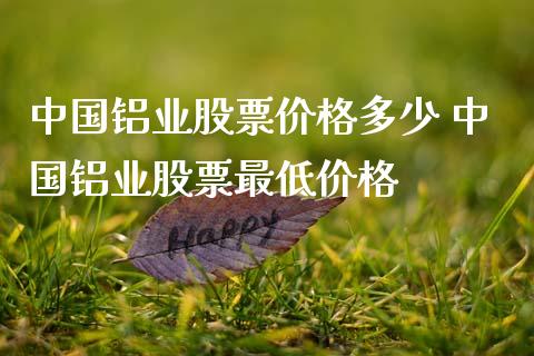 中国铝业股票价格多少 中国铝业股票最低价格
