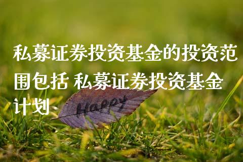 私募证券投资基金的投资范围包括 私募证券投资基金计划