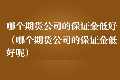 哪个期货公司的保证金低好（哪个期货公司的保证金低好呢）
