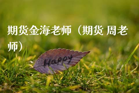期货金海老师（期货 周老师）
