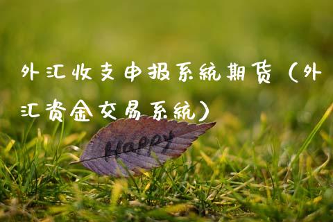 外汇收支申报系统期货（外汇资金交易系统）