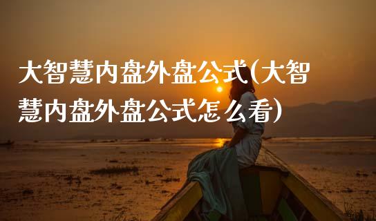大智慧内盘外盘公式(大智慧内盘外盘公式怎么看)
