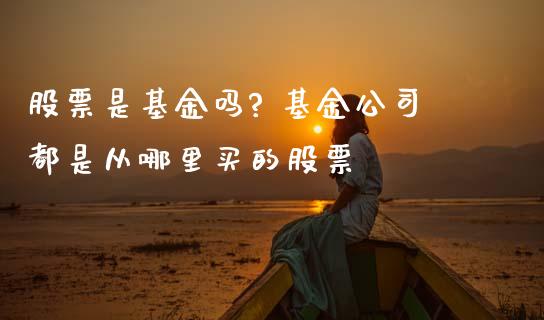 股票是基金吗? 基金公司都是从哪里买的股票
