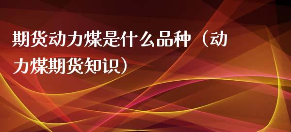 期货动力煤是什么品种（动力煤期货知识）