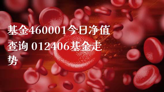 基金460001今日净值查询 012406基金走势