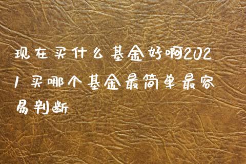 现在买什么基金好啊2021 买哪个基金最简单最容易判断