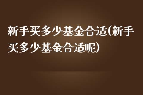 新手买多少基金合适(新手买多少基金合适呢)