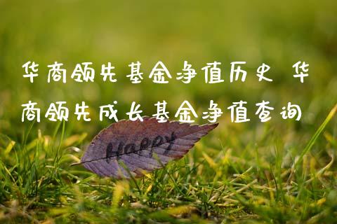 华商领先基金净值历史 华商领先成长基金净值查询