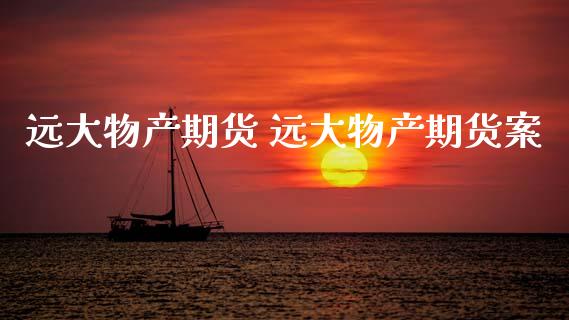 远大物产期货 远大物产期货案