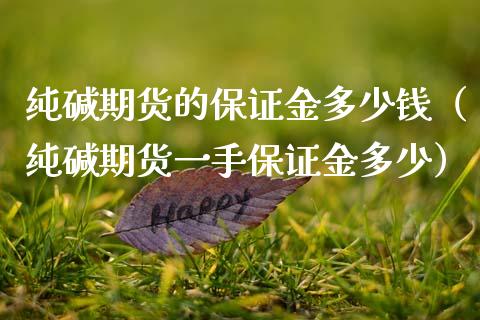 纯碱期货的保证金多少钱（纯碱期货一手保证金多少）