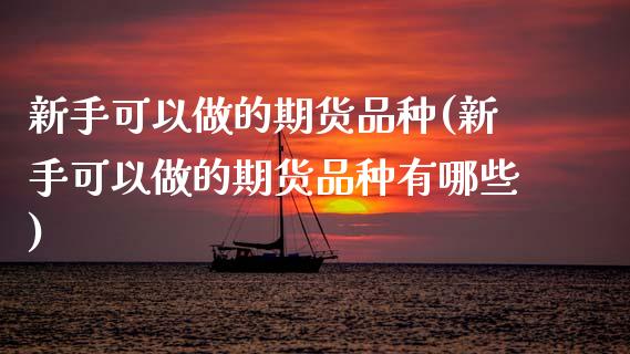新手可以做的期货品种(新手可以做的期货品种有哪些)