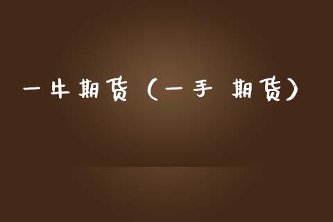 一牛期货（一手 期货）