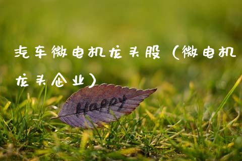 汽车微电机龙头股（微电机龙头企业）