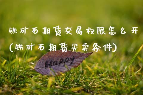 铁矿石期货交易权限怎么开(铁矿石期货买卖条件)