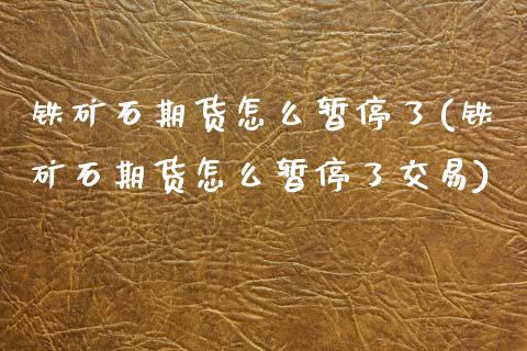 铁矿石期货怎么暂停了(铁矿石期货怎么暂停了交易)