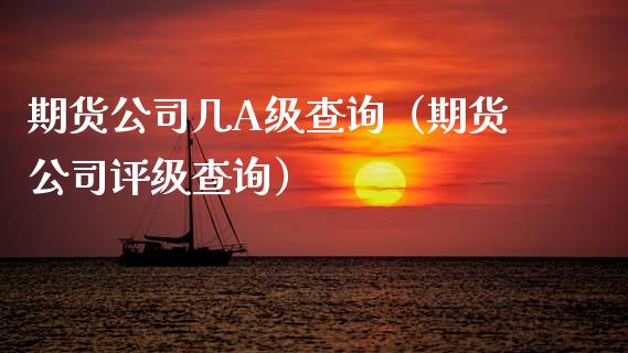 期货公司几查询（期货公司评级查询）