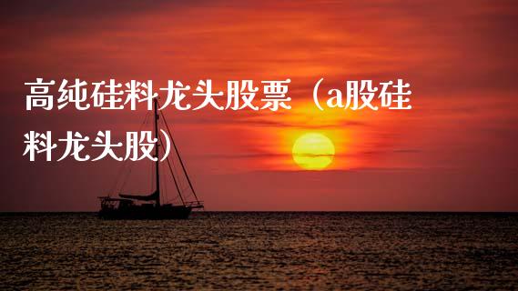 高纯硅料龙头股票（a股硅料龙头股）