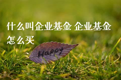 什么叫企业基金 企业基金怎么买