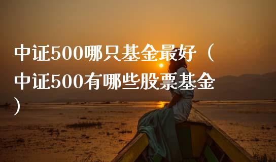 中证500哪只基金最好（中证500有哪些股票基金）
