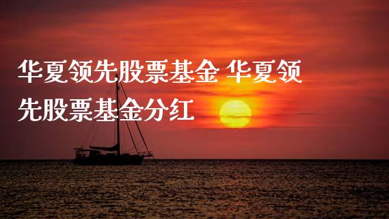 华夏领先股票基金 华夏领先股票基金分红