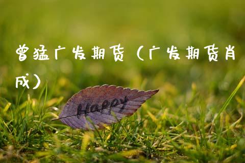 曾猛广发期货（广发期货肖成）