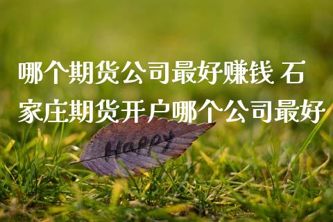 哪个期货公司最好赚钱 石家庄期货开户哪个公司最好