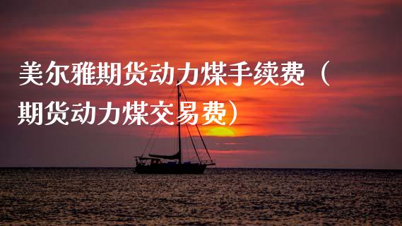 美尔雅期货动力煤手续费（期货动力煤交易费）