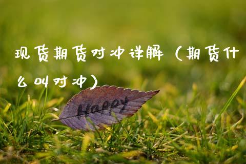 现货期货对冲详解（期货什么叫对冲）