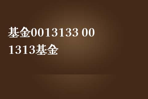 基金0013133 001313基金