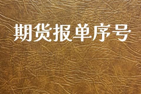 期货报单序号