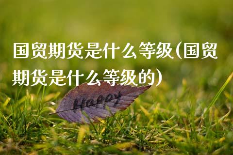 国贸期货是什么等级(国贸期货是什么等级的)