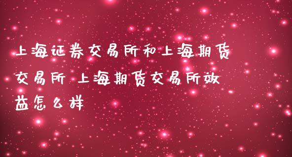 上海证券交易所和上海期货交易所 上海期货交易所效益怎么样