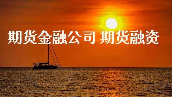 期货金融公司 期货融资