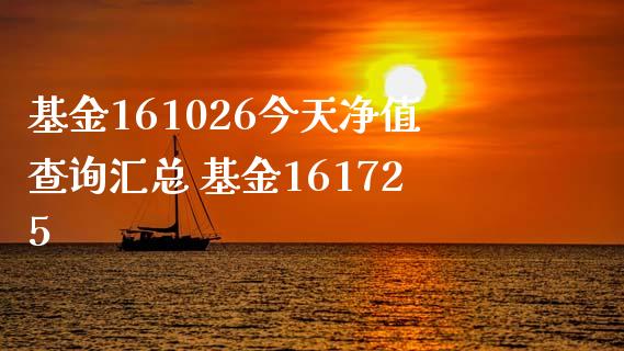 基金161026今天净值查询汇总 基金161725