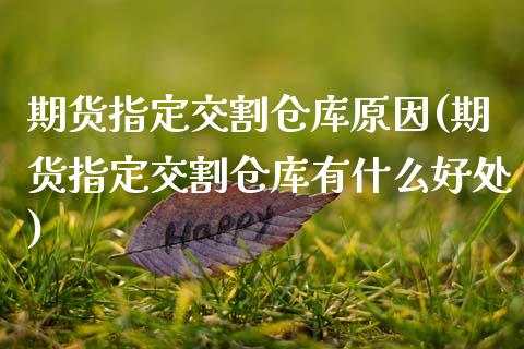 期货指定交割仓库原因(期货指定交割仓库有什么好处)