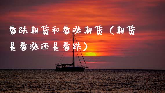 看跌期货和看涨期货（期货是看涨还是看跌）