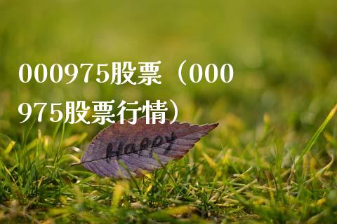 000975股票（000975股票行情）